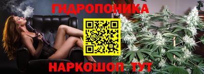 первитин Новодвинск