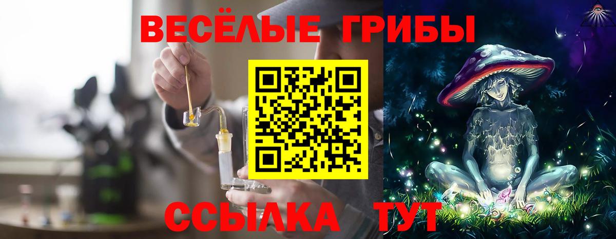 Псилоцибиновые грибы Psilocybine cubensis  Вход с VPN  Псилоцибиновые грибы ЛСД  Саяногорск 