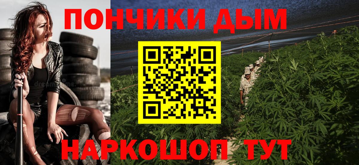 Шишки марихуана ГИДРОПОН  Каннабис Bruce Banner  Вход с VPN  Марихуана план  Саяногорск 